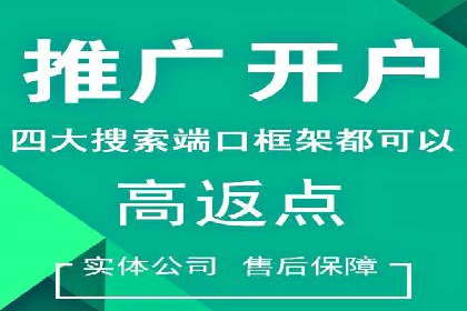 实战派经验分享：百度竞价代理成功案例揭秘